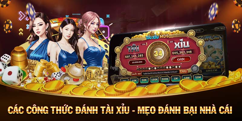 Yo88 - Đăng ký tải game bài tài xỉu tại Yo88 club trực tuyến 2023